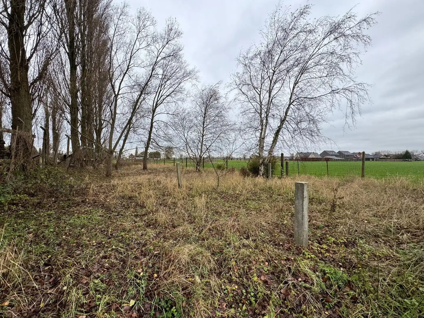 Te renoveren handelshuis te Eernegem foto 5