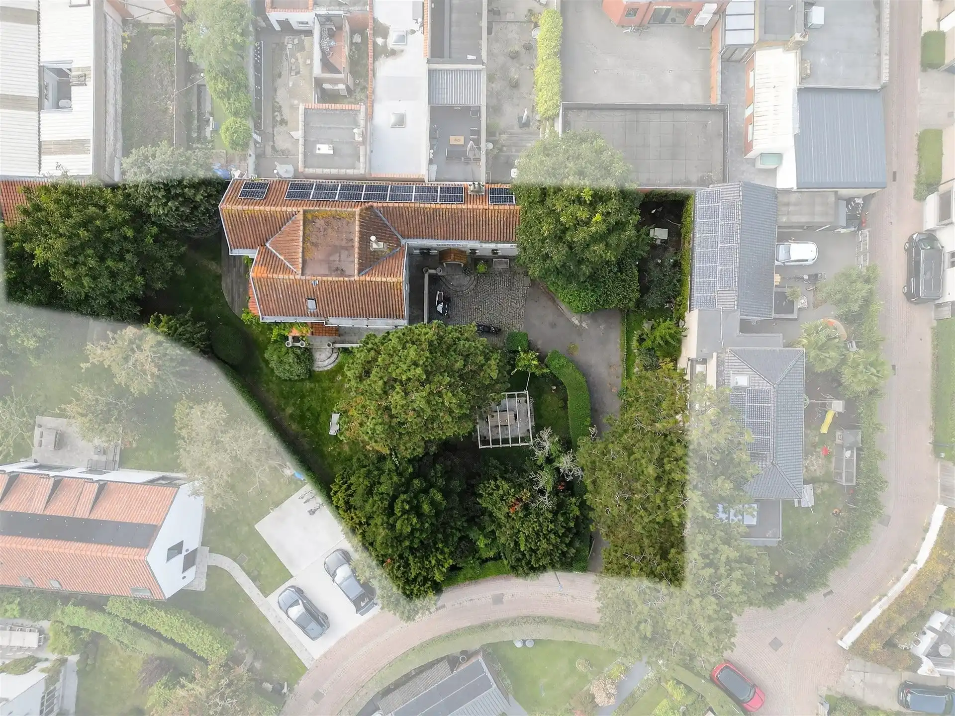 EXCLUSIEF / GROENE OASE  foto 35