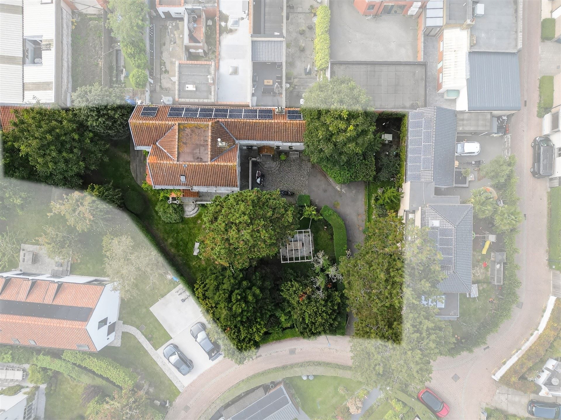 EXCLUSIEF / GROENE OASE  foto 35