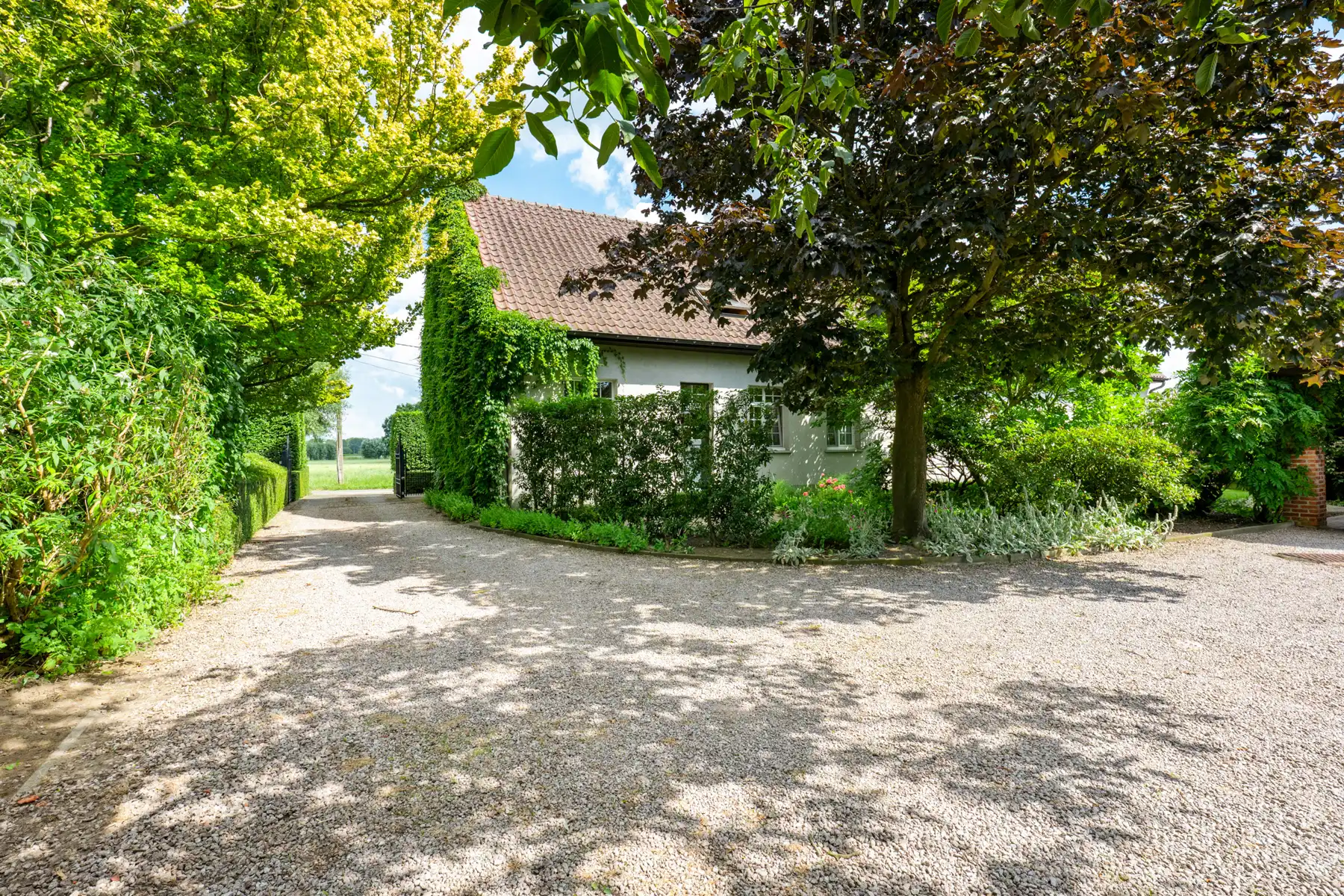 Unieke hoeve op 5.589 m² in Wommelgem. foto 24