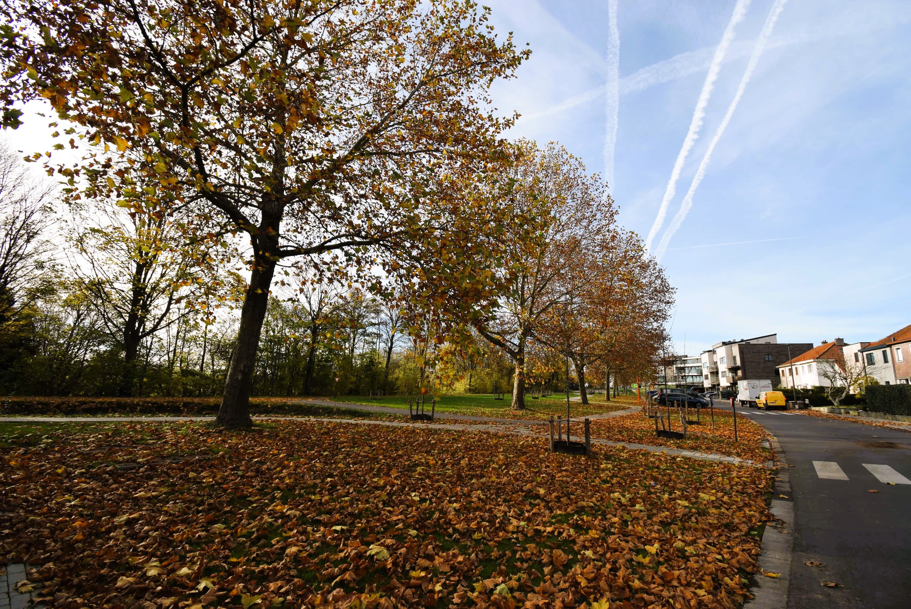 Opbrengstgebouw foto 17