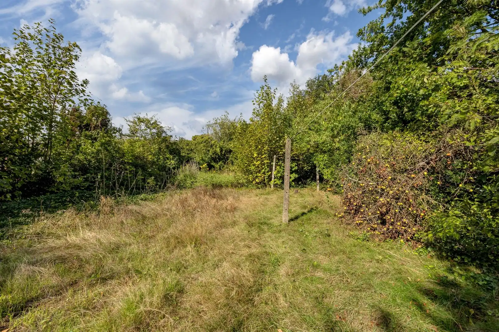Woning met veel potentieel en grote tuin! foto 2