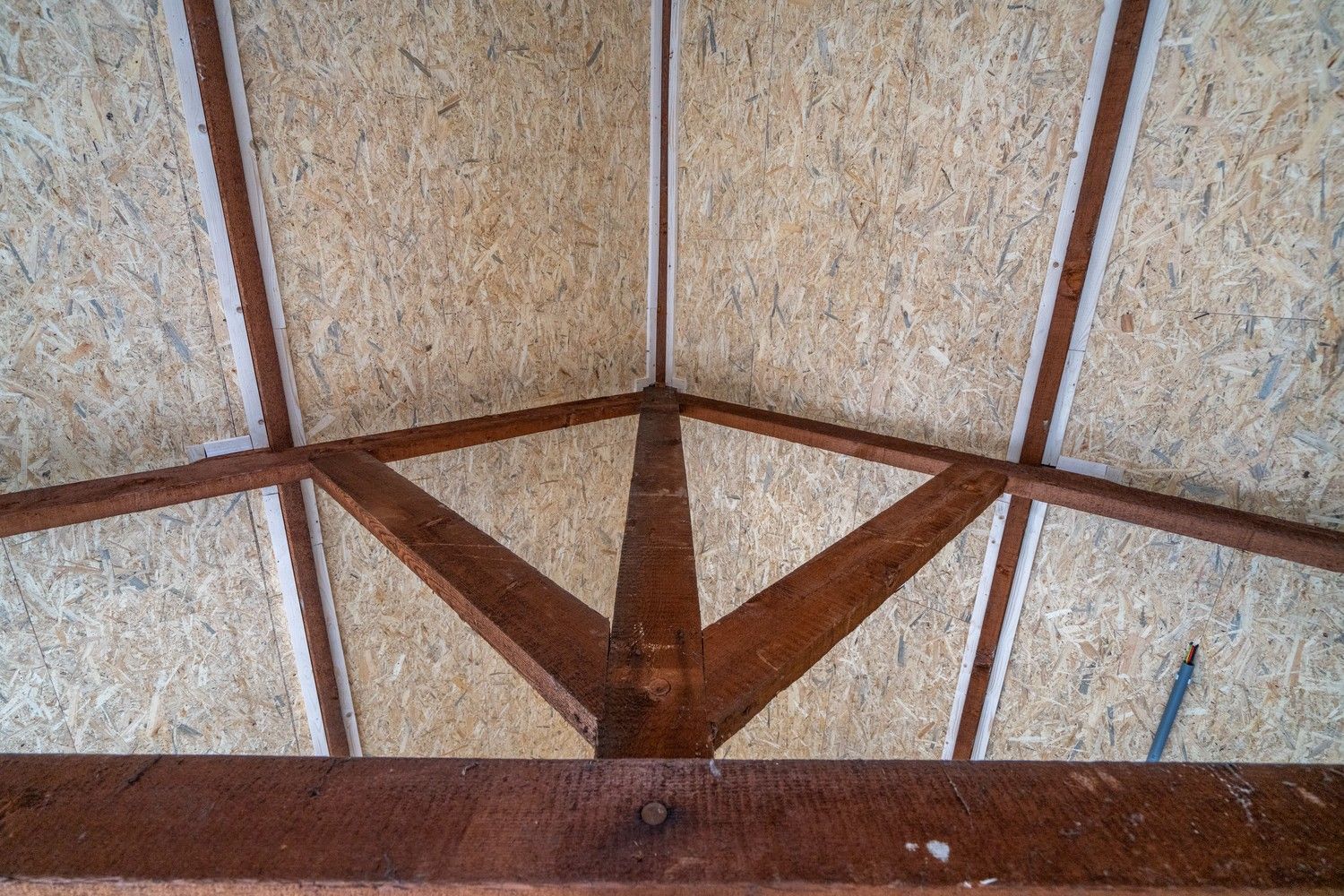 WONEN & WERKEN foto 20