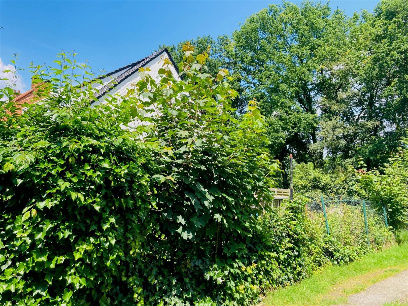 Nieuwbouw 3-gevel woning in een groen en rustig kader. foto 8