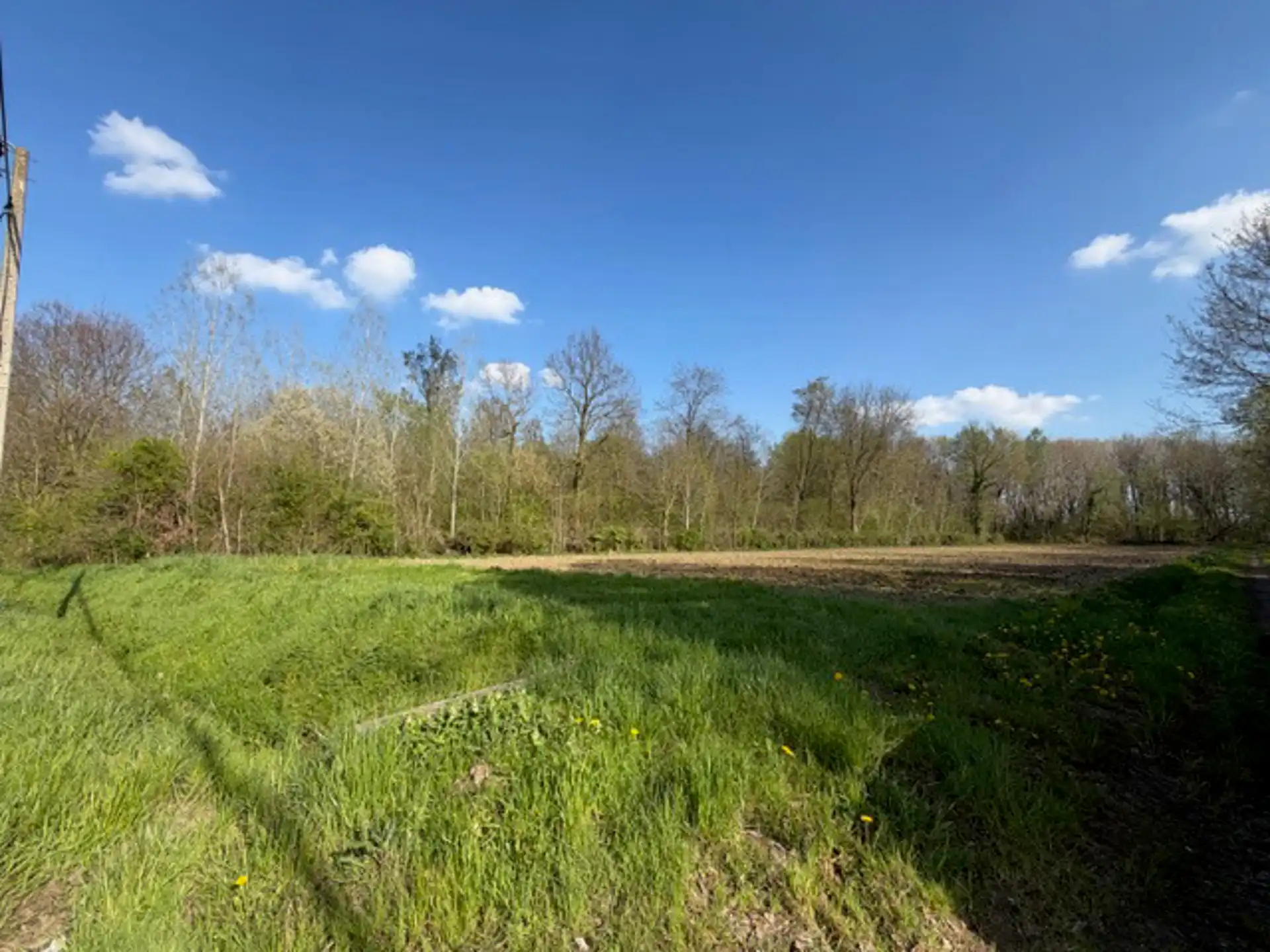  32 are landbouwgrond te Glabbeek foto 3