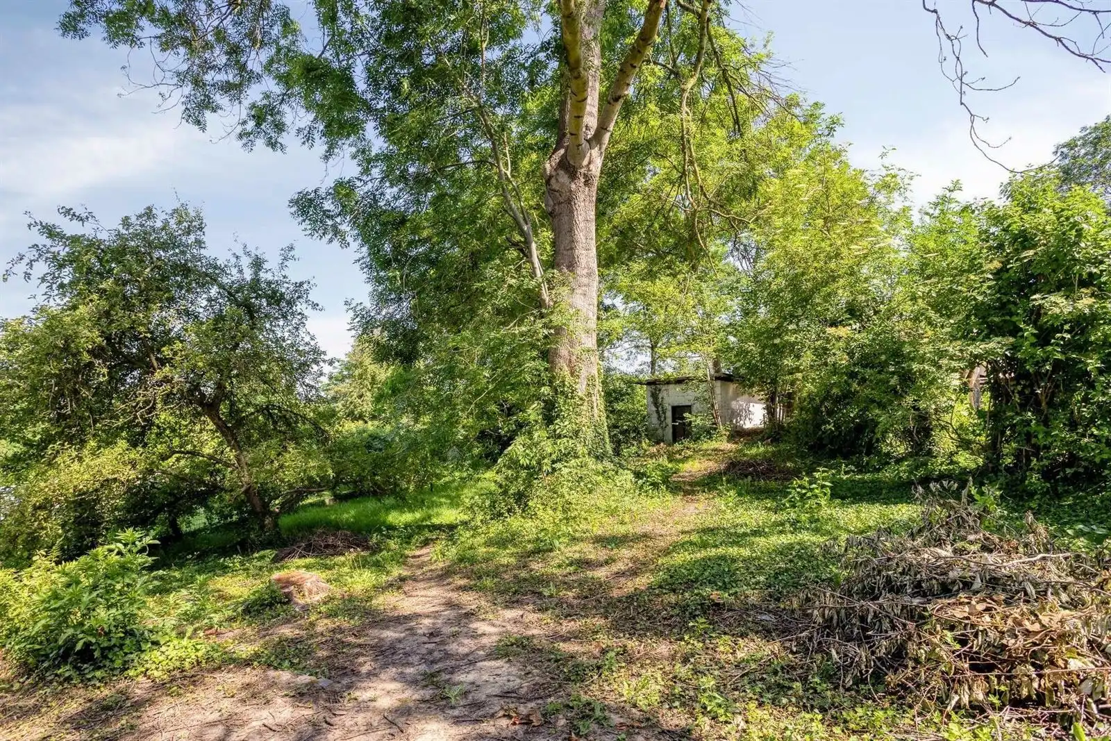 Te renoveren gezinswoning  (371 m²) met 5 slaapkamers op een perceel van 10a66ca te Huizingen foto 32