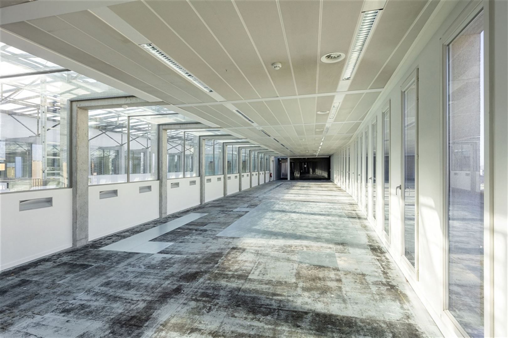 COLONY SQUARE: vanaf 1.060m² tot 7.100m² foto 4