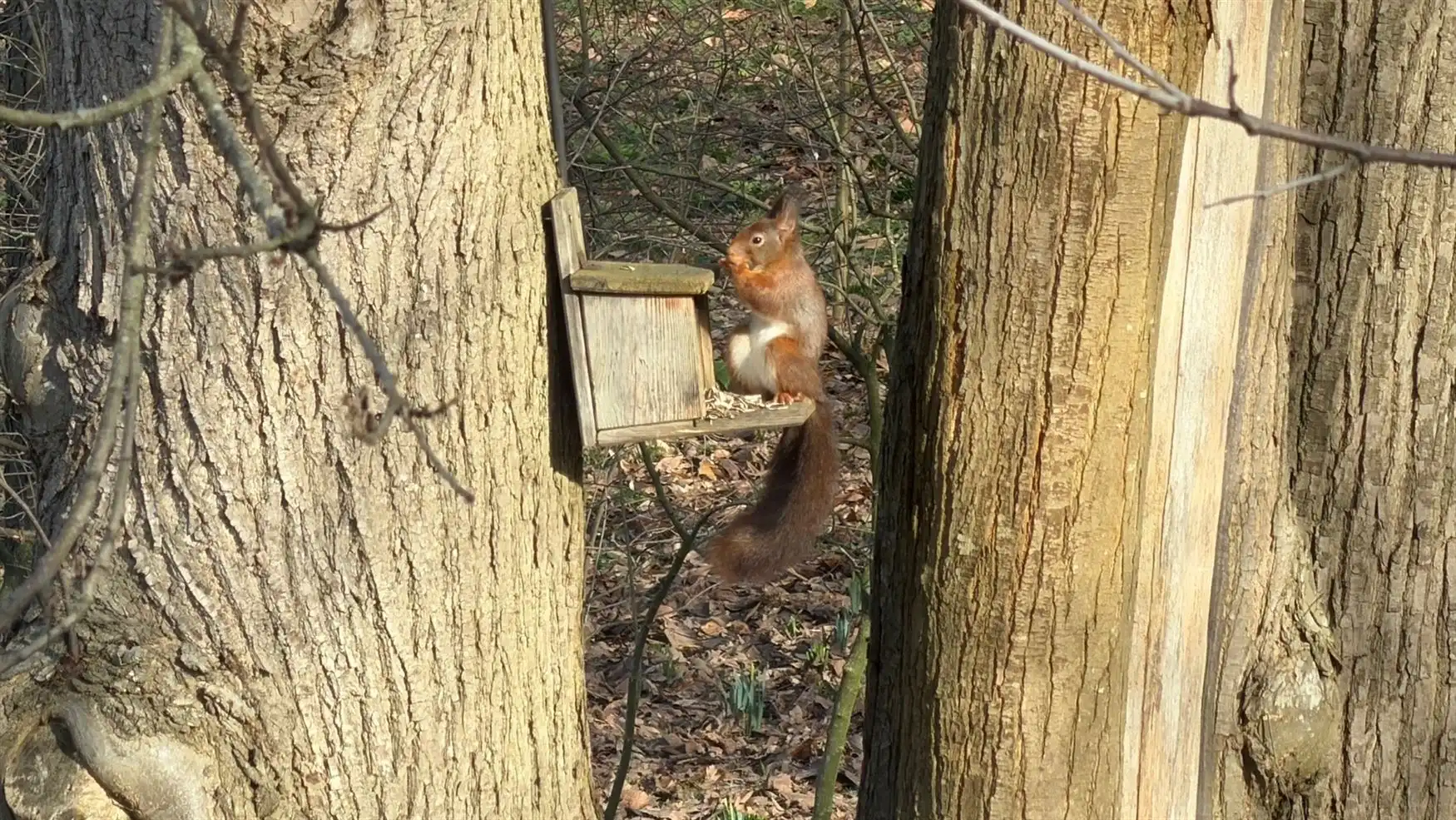 Exclusieve villa met uitzonderlijk open zicht in 'De Bommels'.  foto 29