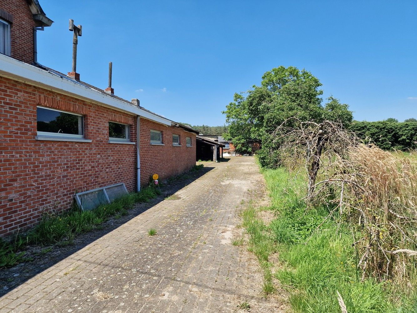 Charmante voormalige boerderij op 67a95ca met optioneel 3ha52a26ca landbouwgrond foto 4