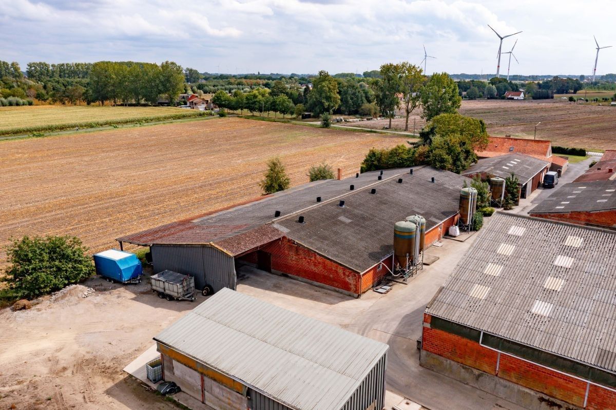 Hoeve op 4,13 ha te koop te Kaprijke foto 10