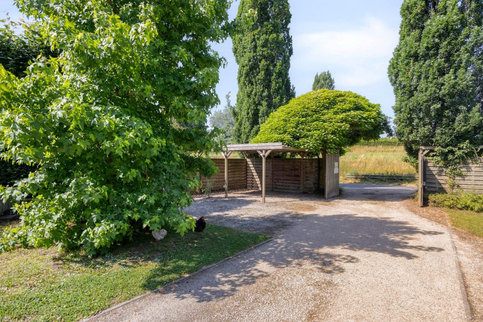 Prachtige handelswoning in centrum Rekkem! foto 23