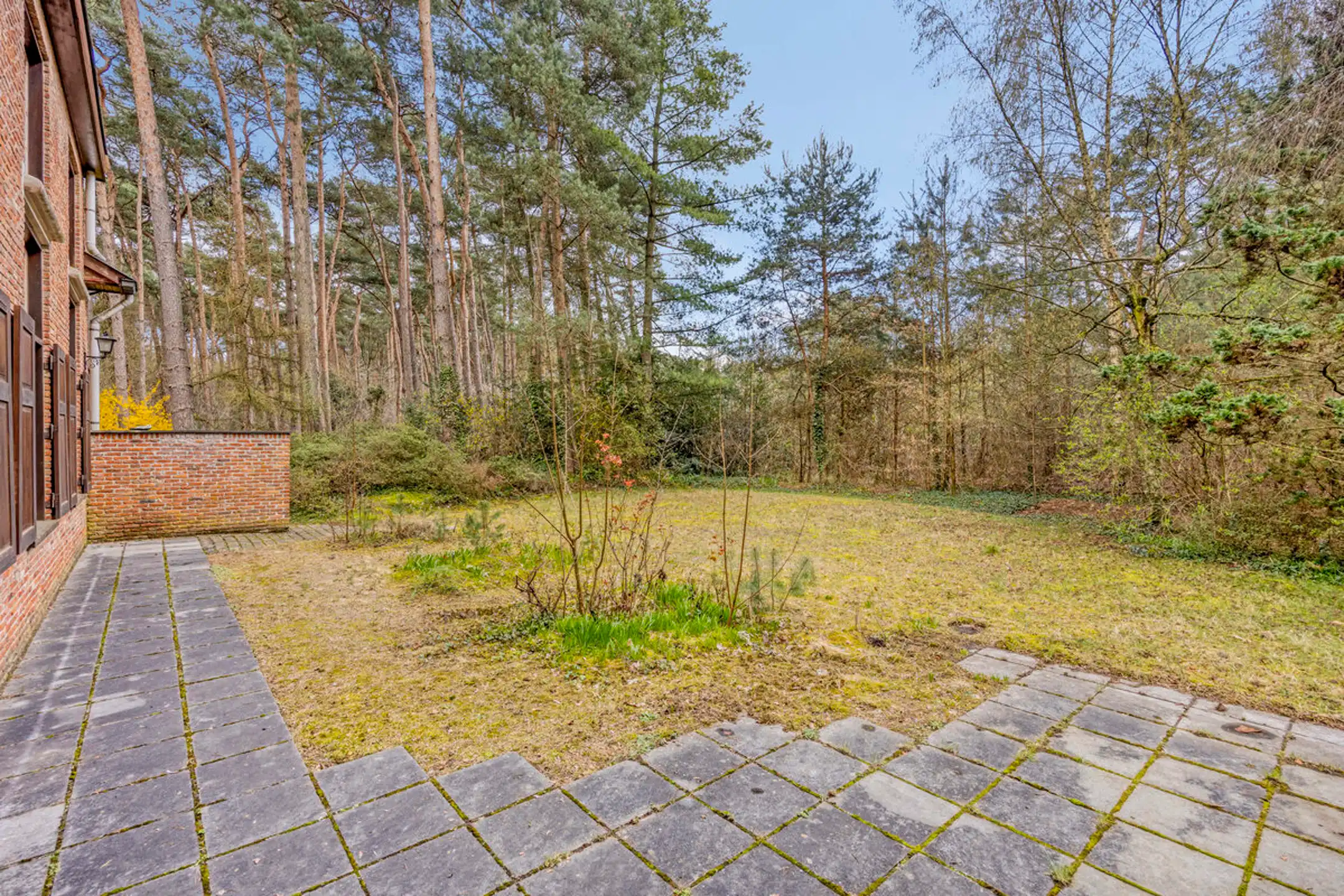 Uniek groen gelegen landhuis met eventuele praktijkruimte foto 5