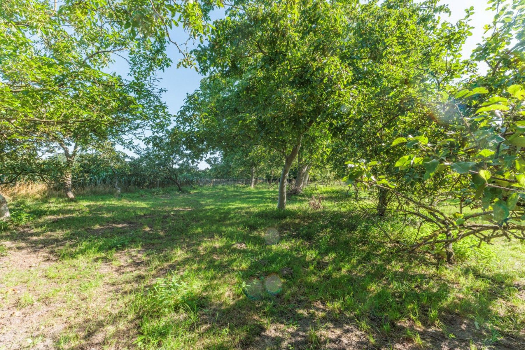 Vrijstaande woning op een perceel van meer dan 45 are foto 29