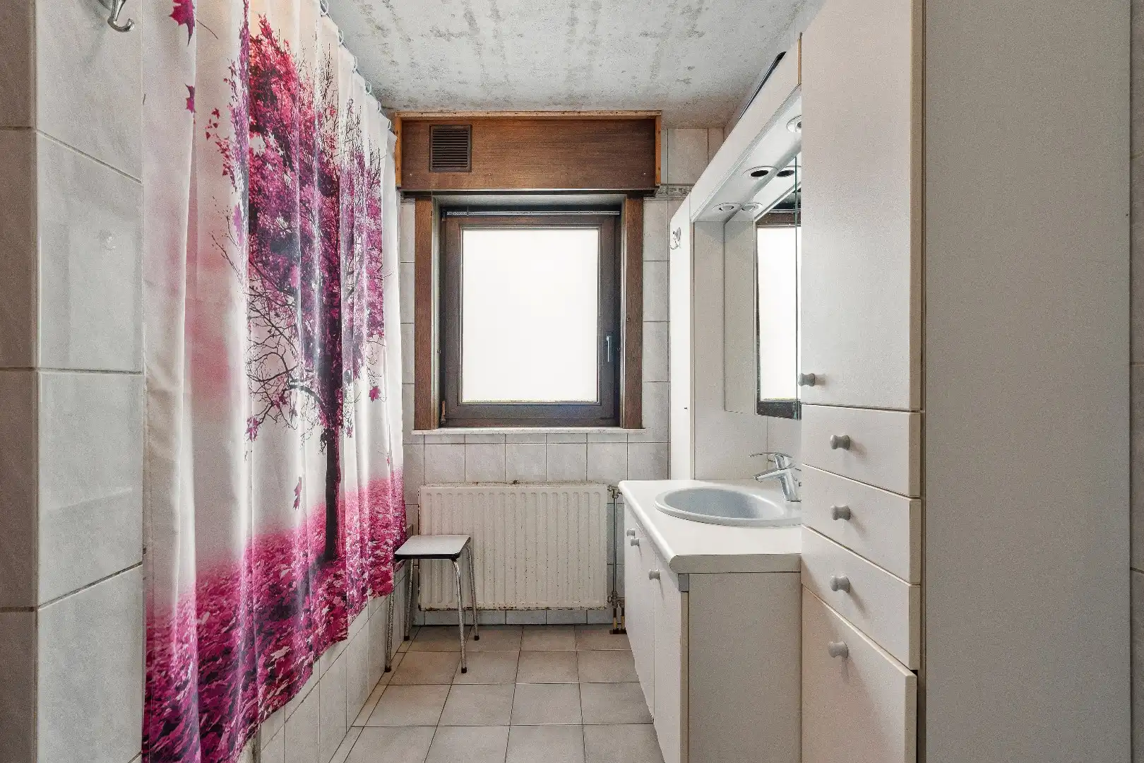 OP TE FRISSEN WONING MET 3 SLPKS, GROTE TUIN EN 2 GARAGES foto 10