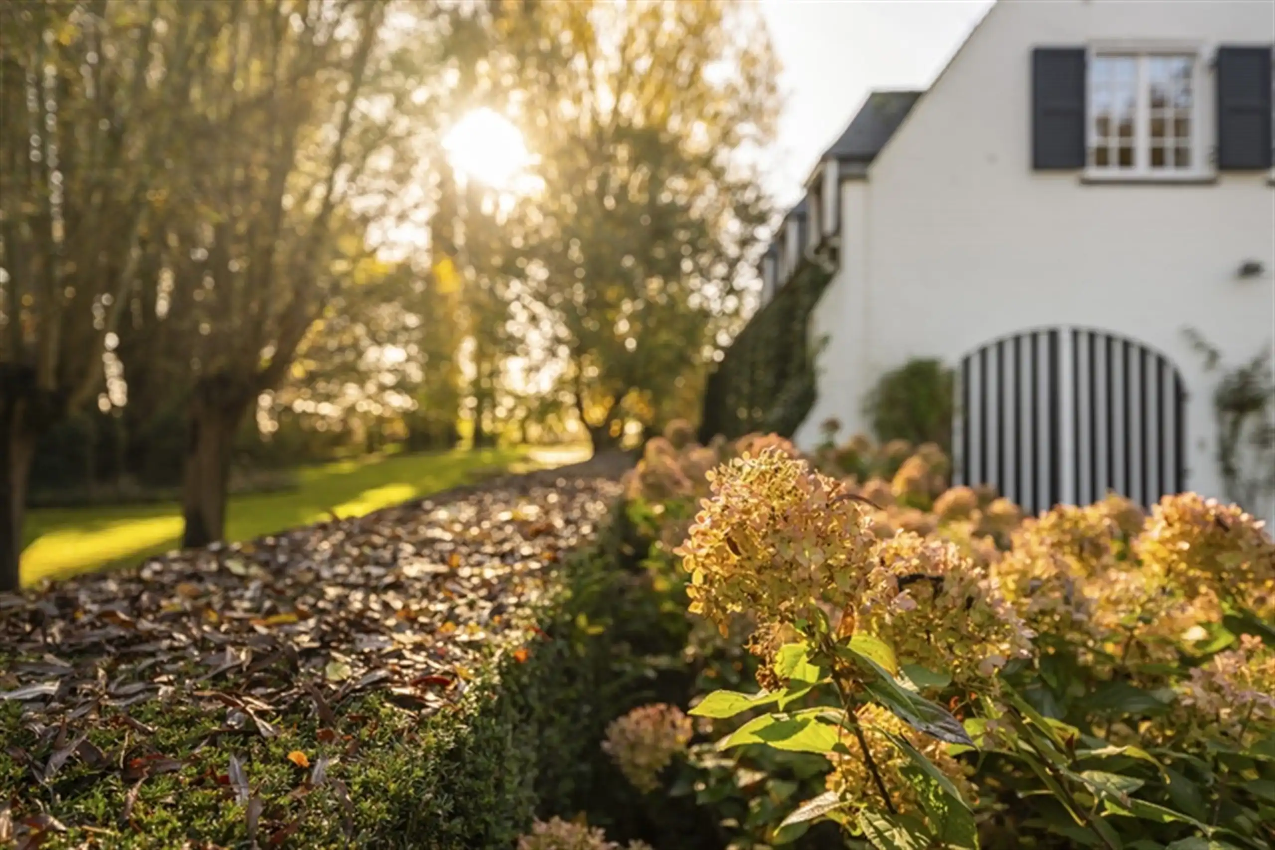 Waardevolle witte vastgoedparel  op 8.679 m² ! foto 5