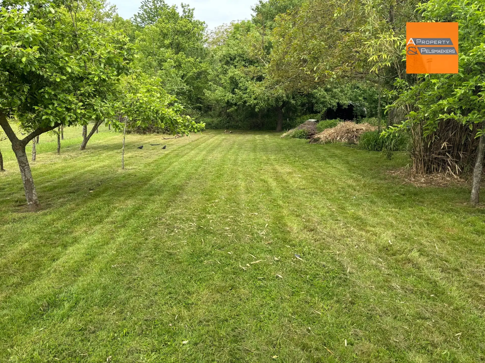 Bouwgrond te koop in Kessel-Lo!! foto 2
