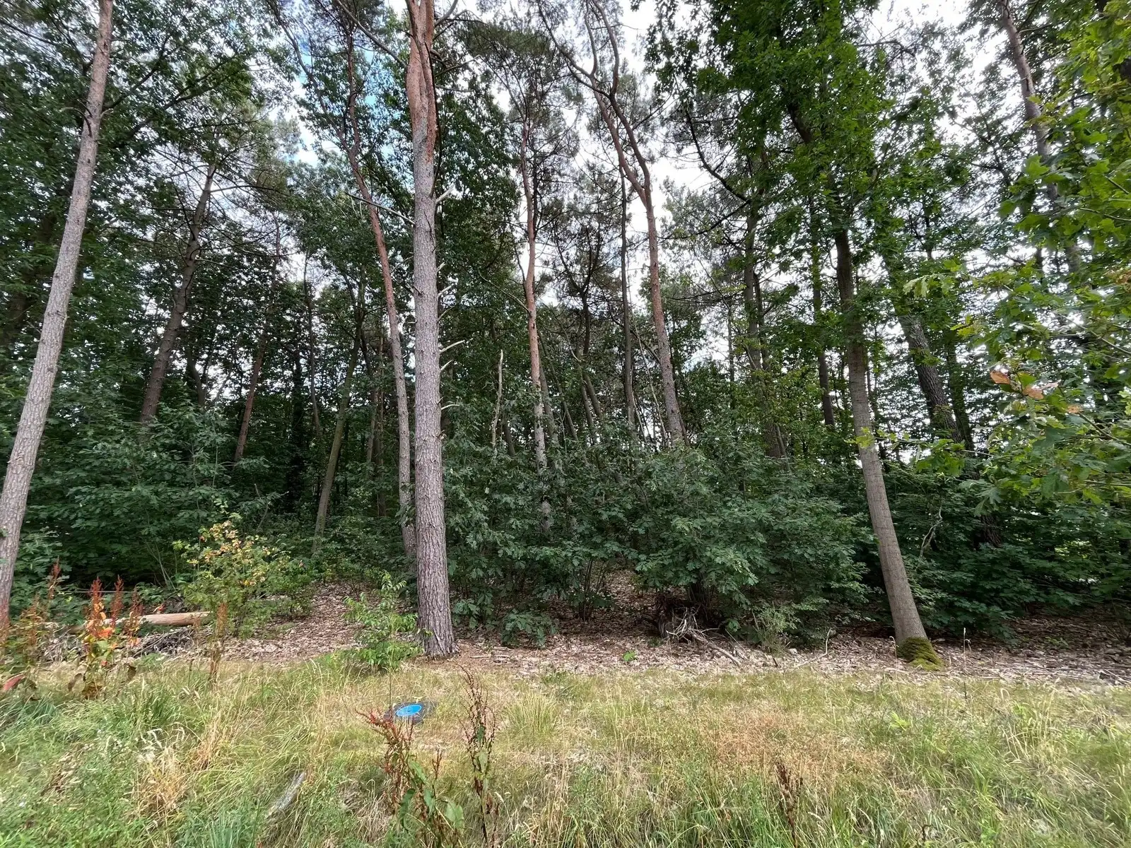 Bouwgrond voor open bebouwing 1.567m² foto 2
