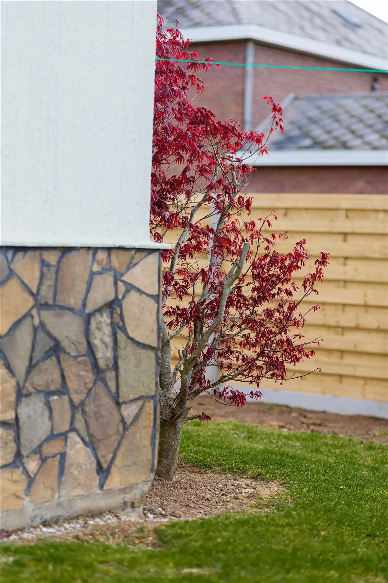 Knusse bungalow met 3 kamers en zuidgerichte tuin op 9are05 foto 26