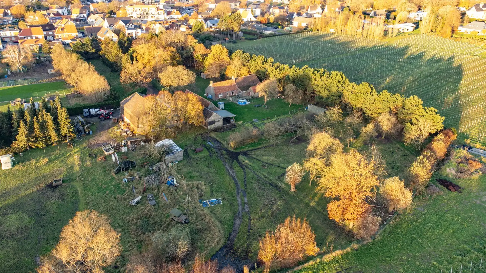 Hoofdfoto van de publicatie: Uitzonderlijk gelegen hoeve op 3,5 ha