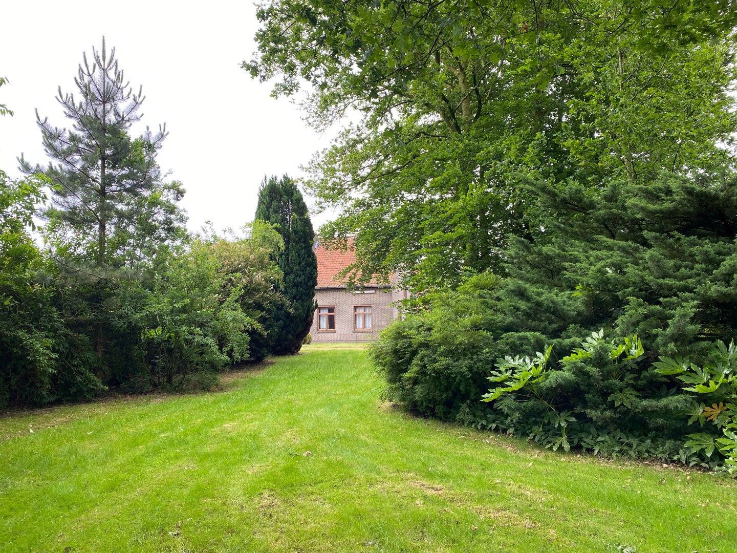 Hoeve met stallingen, bijhuis en grote schuur op een ruim perceel in Lembeke foto 5