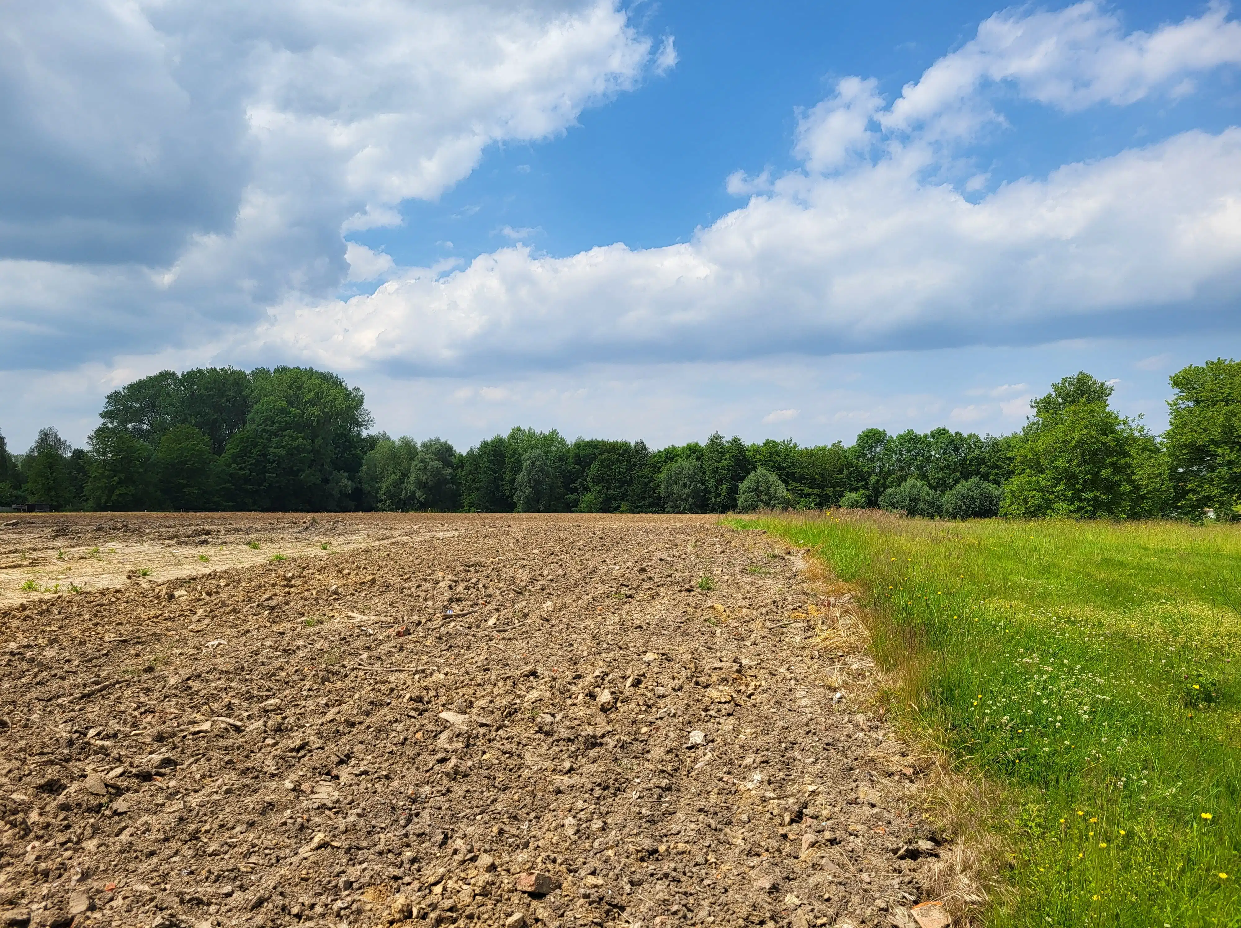 bouwgrond voor halfopen bebouwing op 435 gelegen in het hartje van de Vlaamse Ardennen met panoramisch uitzicht op de velden!  foto 3