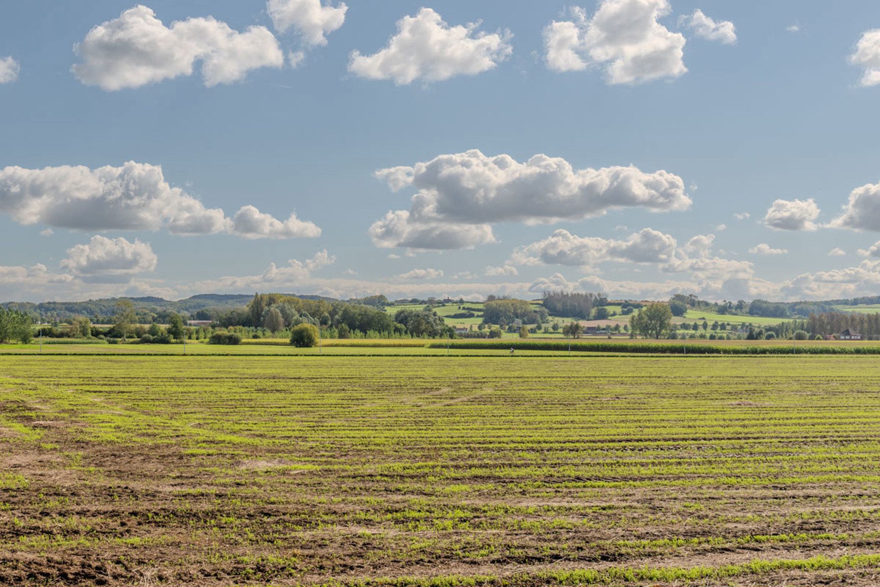 Landelijke bouwgrond te Meerse foto 7