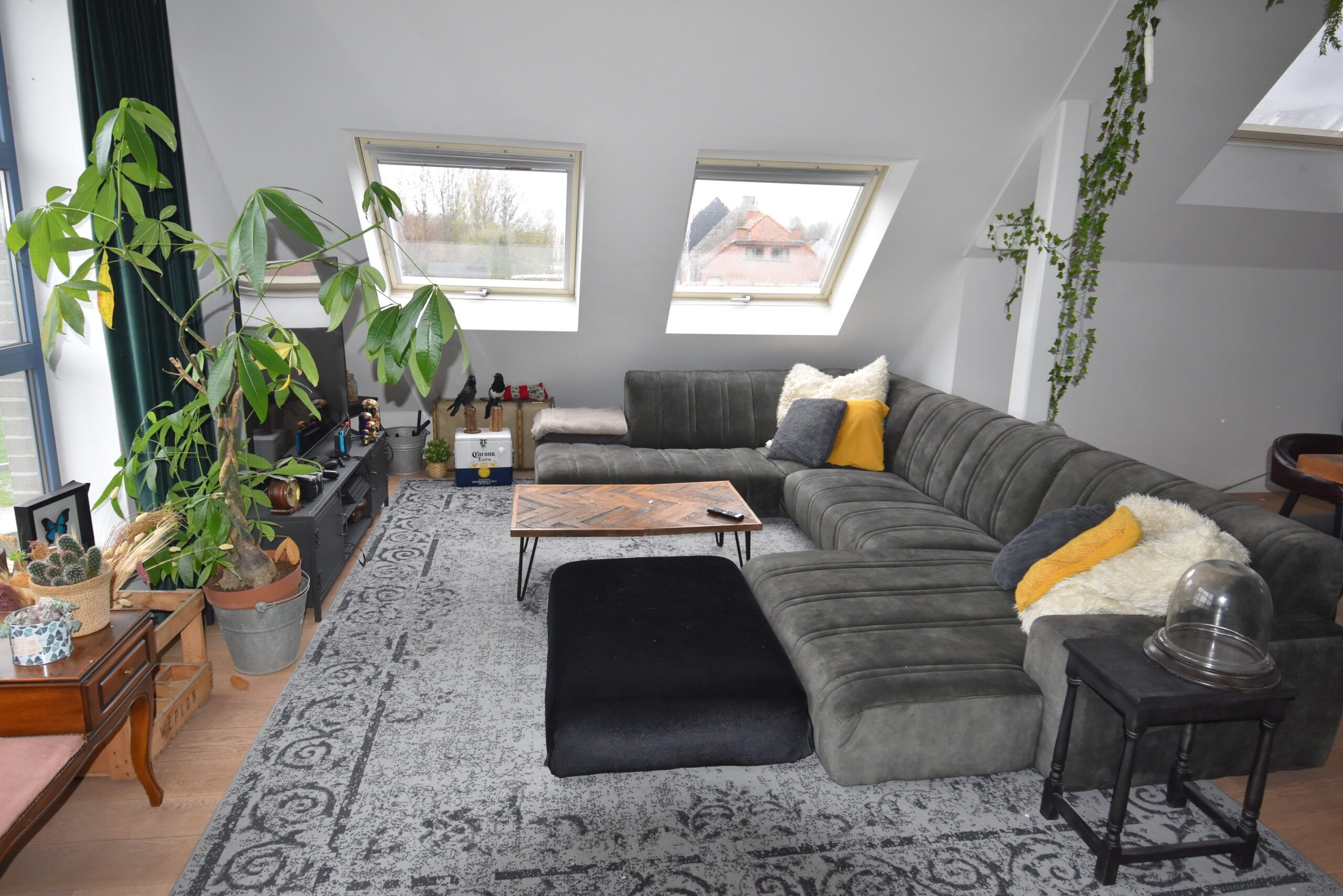 Gezellig dakappartement met 2 slaapkamers in Nieuwkerken-Waas foto 10
