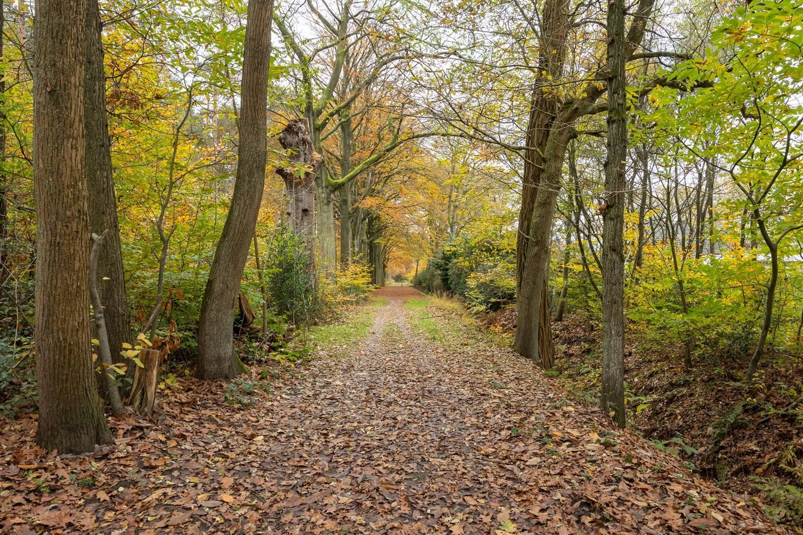 Op te frissen duplex appartement met prachtig groen zicht aan domein "De Inslag" foto 18