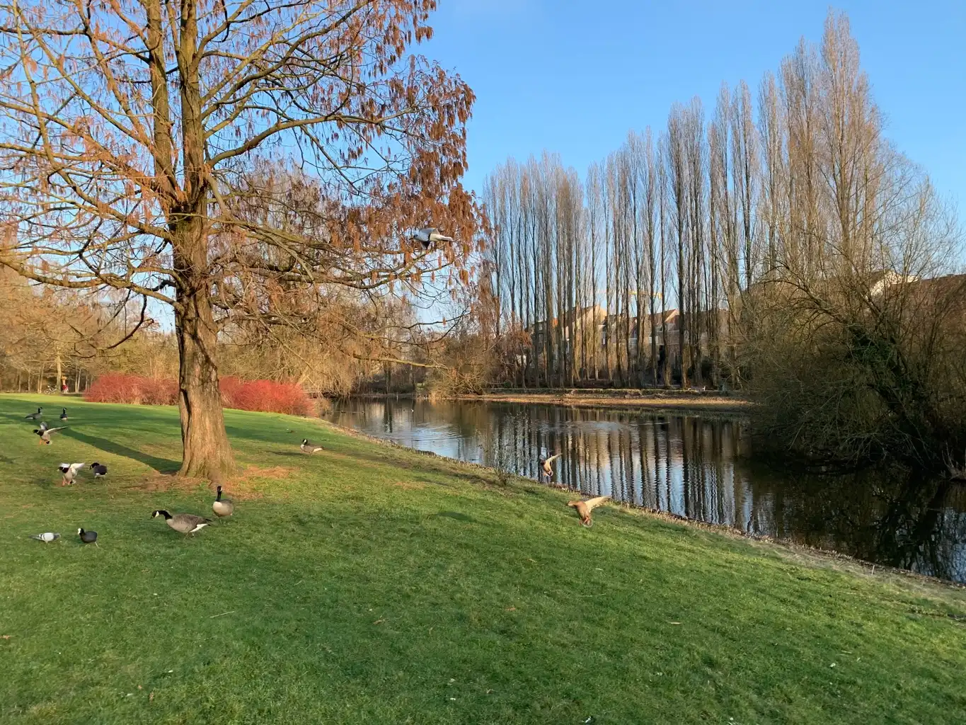Lichtrijk appartement met zicht op kasteelpark foto 14