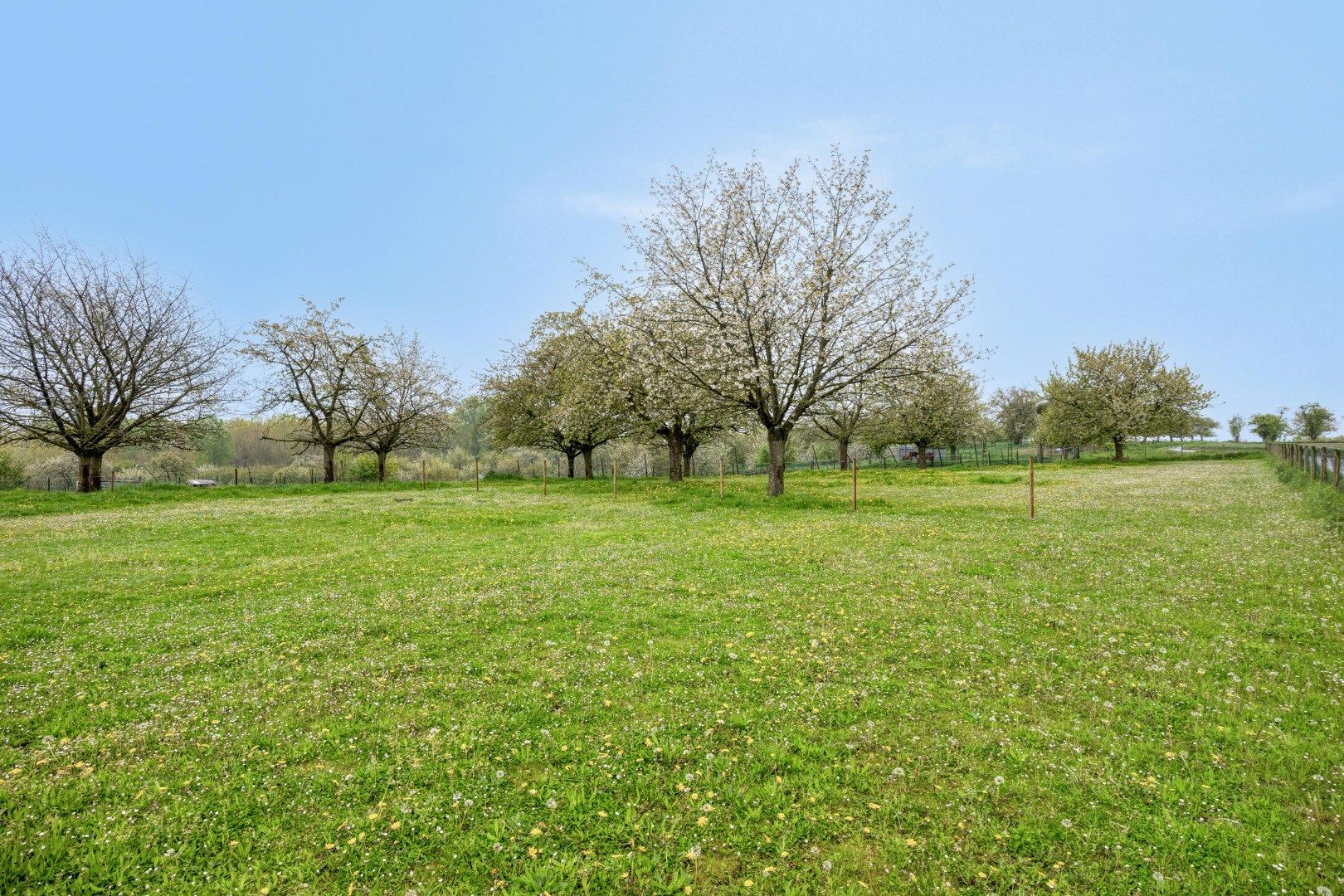 Heks: Woning op 50 are in het hart van Haspengouw, te midden van de natuur foto 3