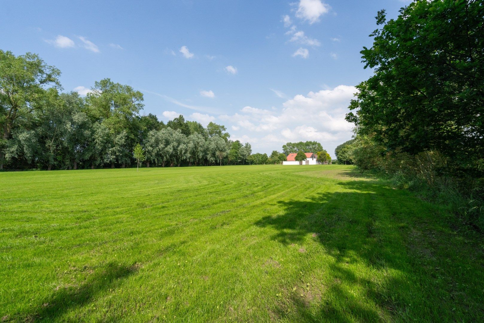 Subliem villa-landhuis met meerdere polyvalente bijhuizen, zwembad en prachtige zichten over de weidse polders  foto 8