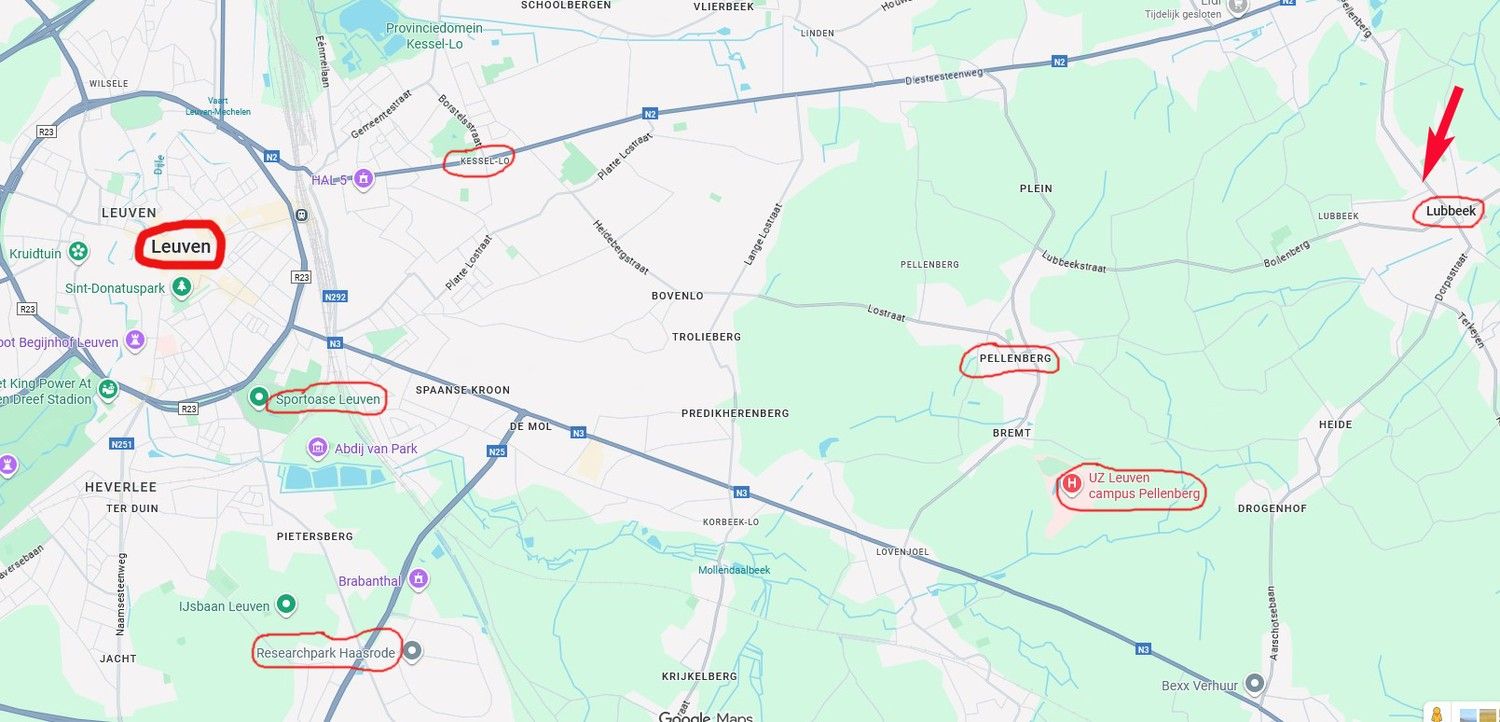 gezellige villa van 870 m2 met praktijkruimte, kangoeroewoning, ...  op 1,27 hectare foto 3