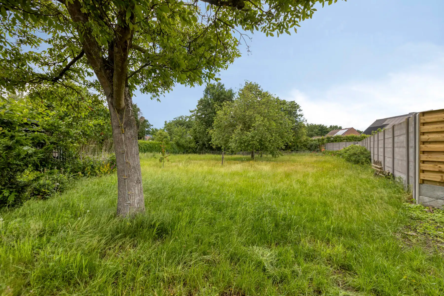 Vrijstaande woning met uitzonderlijke grote tuin in dorpskern Geistingen (Kinrooi) foto 25