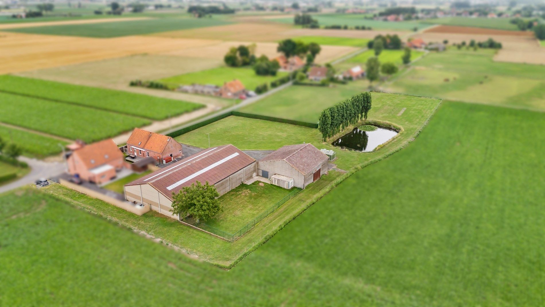 Landelijke woning met ruime loods en grote verzorgde tuin in Moorslede/Slypskapelle foto 15