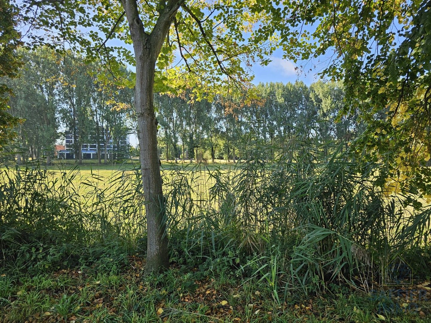 Ruime woning met potentieel in de Weststraat, Ingelmunster foto 32