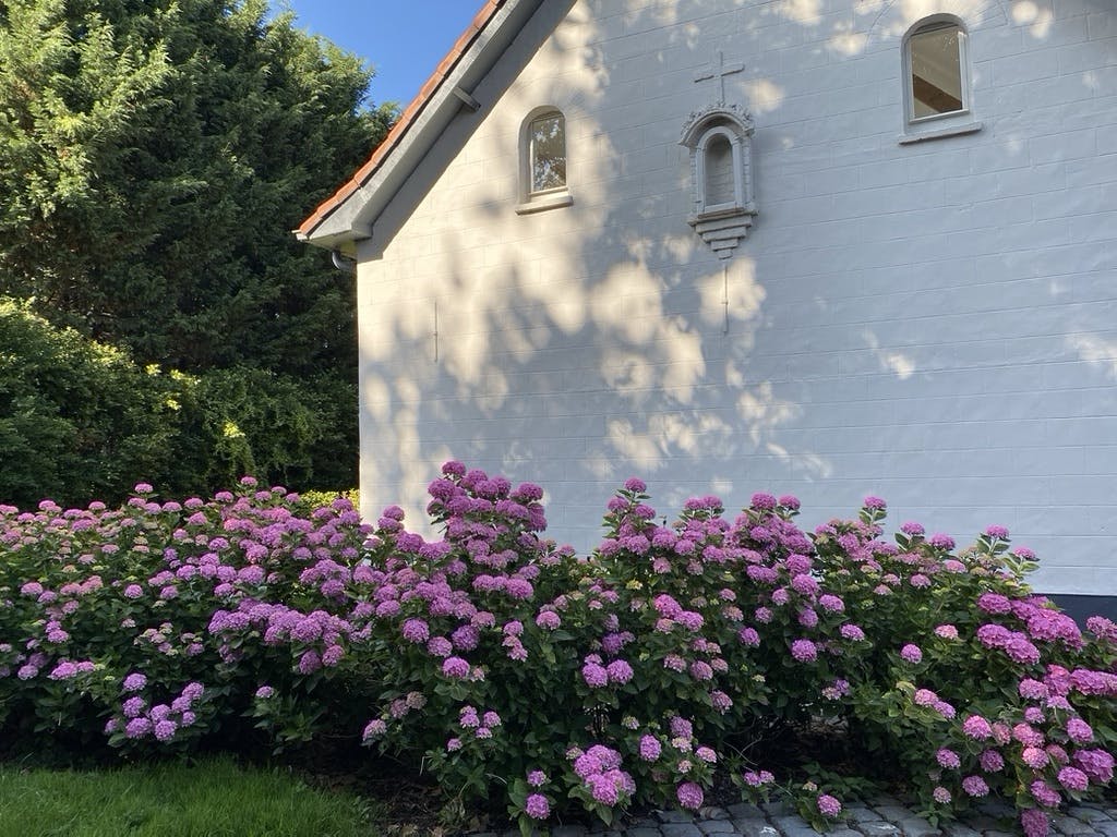 Exclusief landhuis op +/- 8000 m²: de synthese van rust en ruimte foto 37