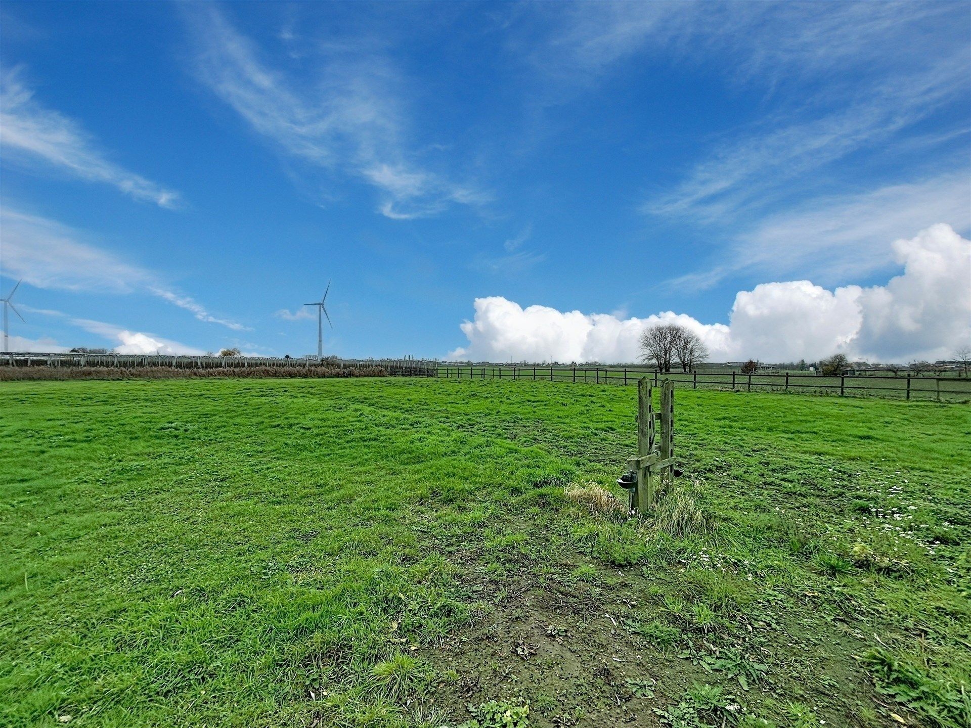 Open bebouwing met 4 slaapkamers op 3550m² foto 36