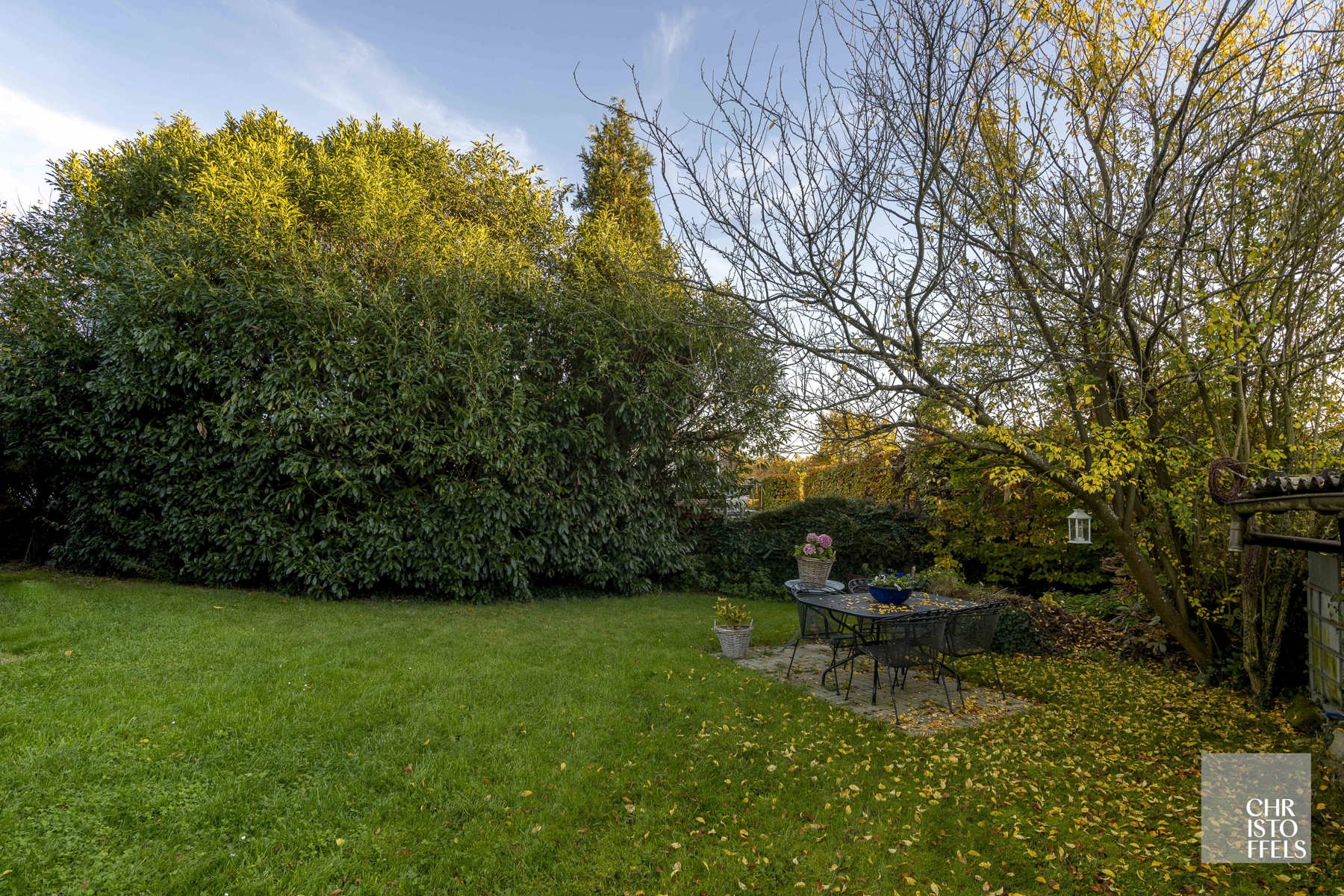 Op te frissen laagbouwvilla op een perceel van 1.257m² in het groen!  foto 11