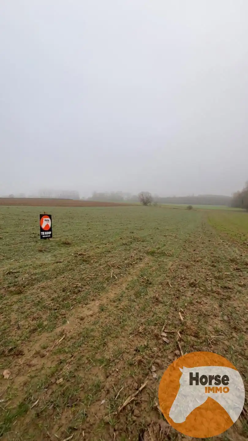 HERZELE - Landbouwgrond van 46are foto 4