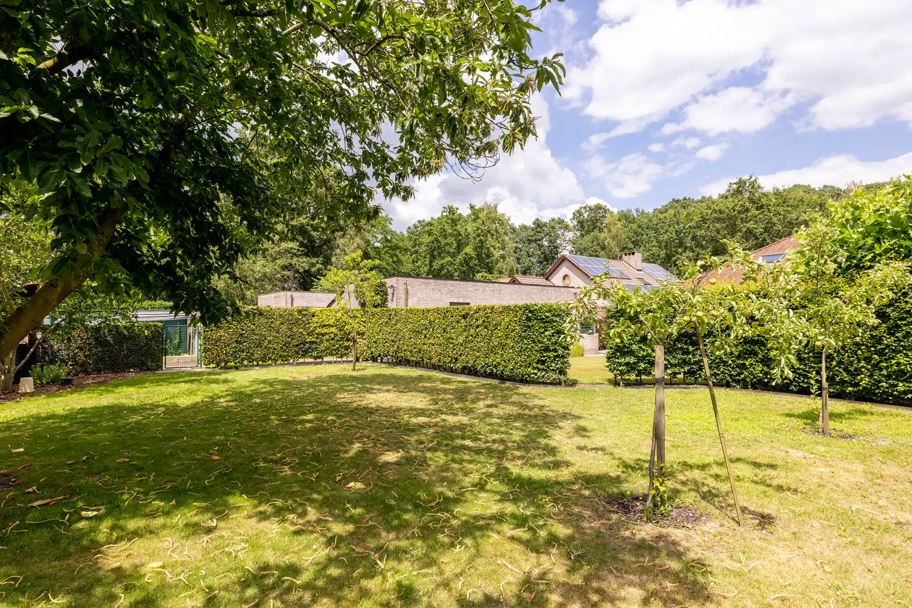 Instapklare woning met 3 slpkrs op een grond van 1.295m² foto 28
