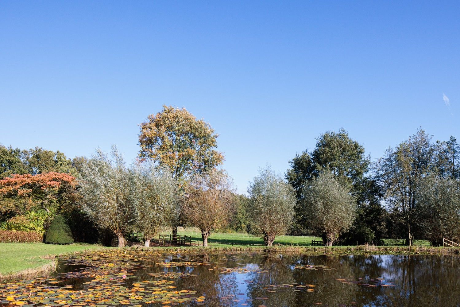 Uitzonderlijk domein met prachtige zichten foto 28