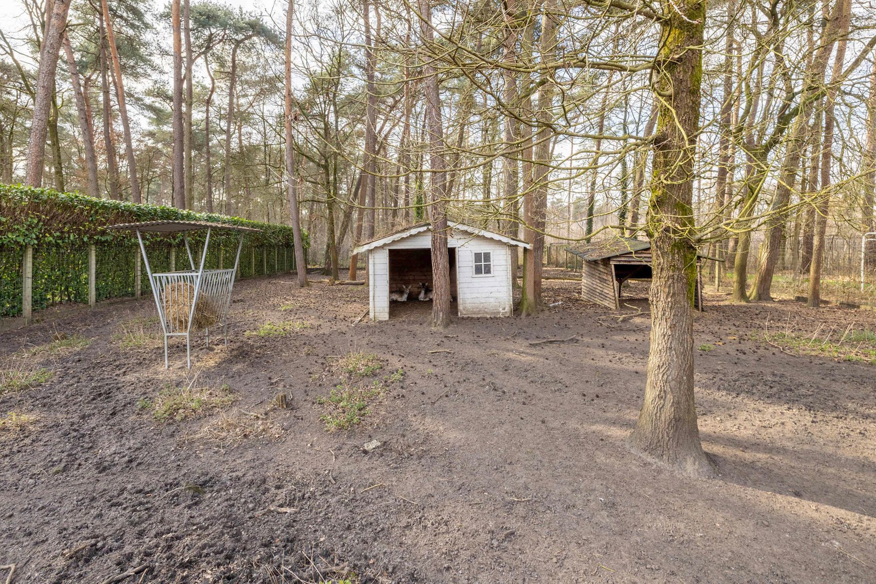Villa met 4 slpk, bureau en dubbele garage op 1.726m2 foto 27