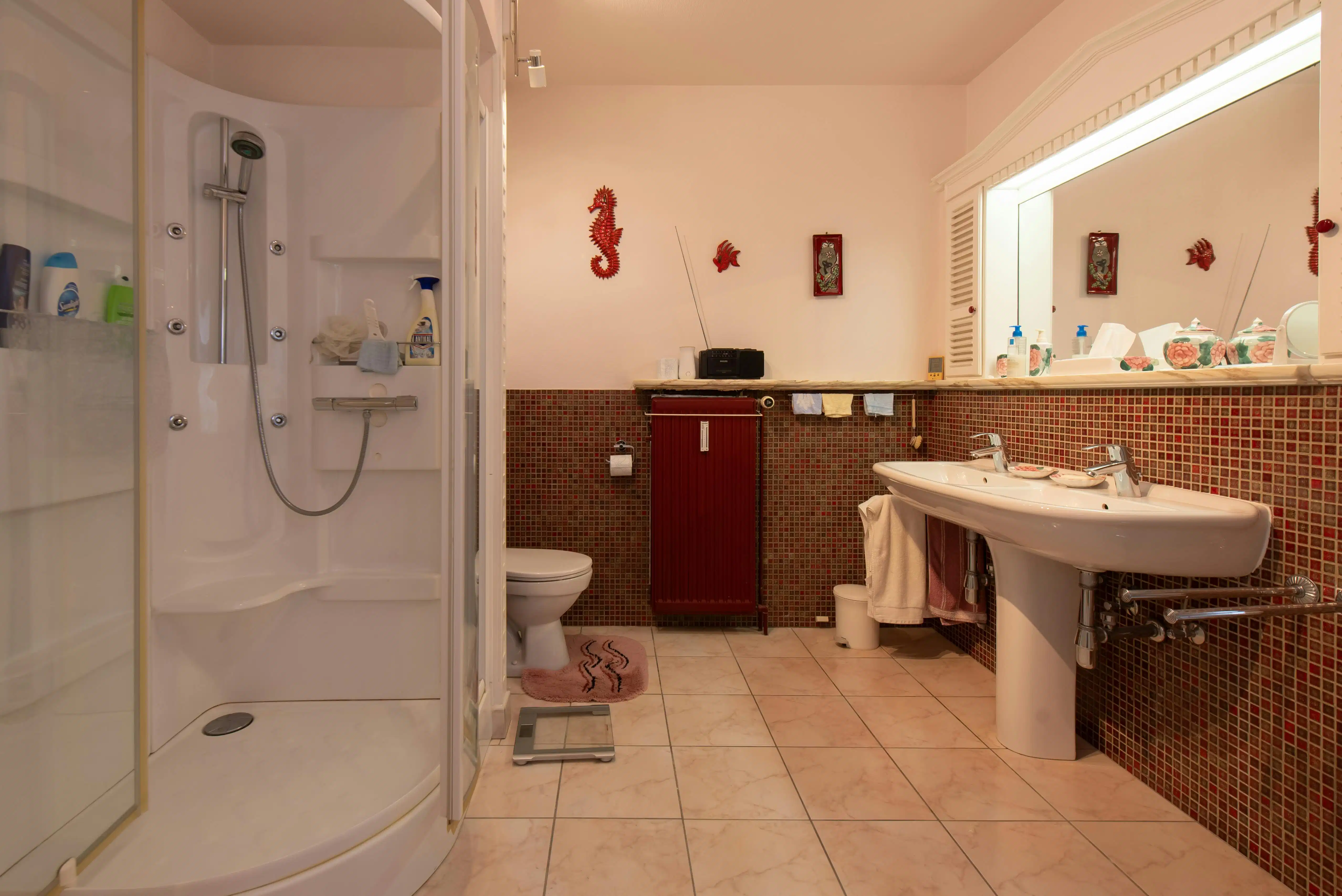 Ruim appartement met magnifiek zicht op zee en de vaargeul foto 9