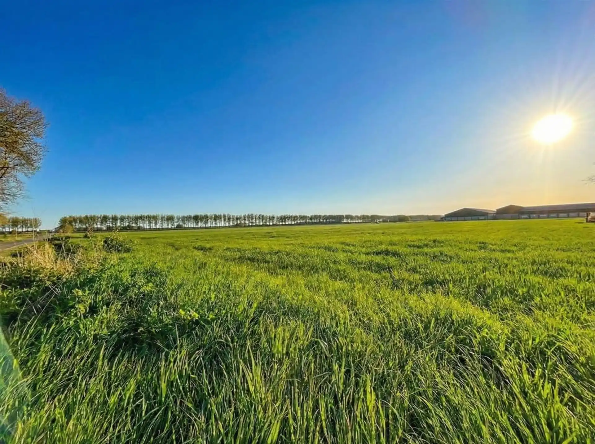 Half open bebouwing op perceel van 320m² foto 3