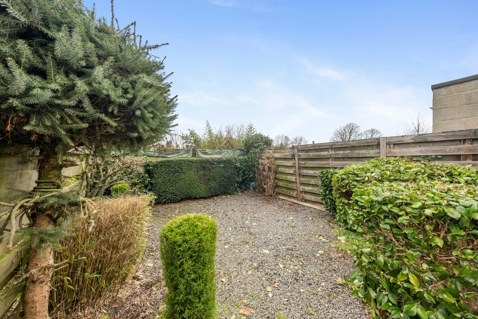 Charmante starterswoning met tuin in Flora, Merelbeke. foto 14