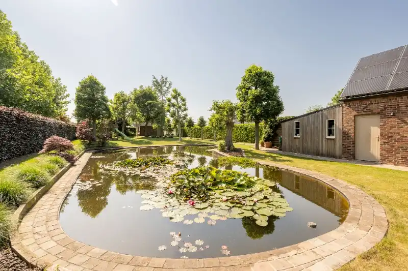 Landelijke, instapklare woning op rustige ligging. foto 29