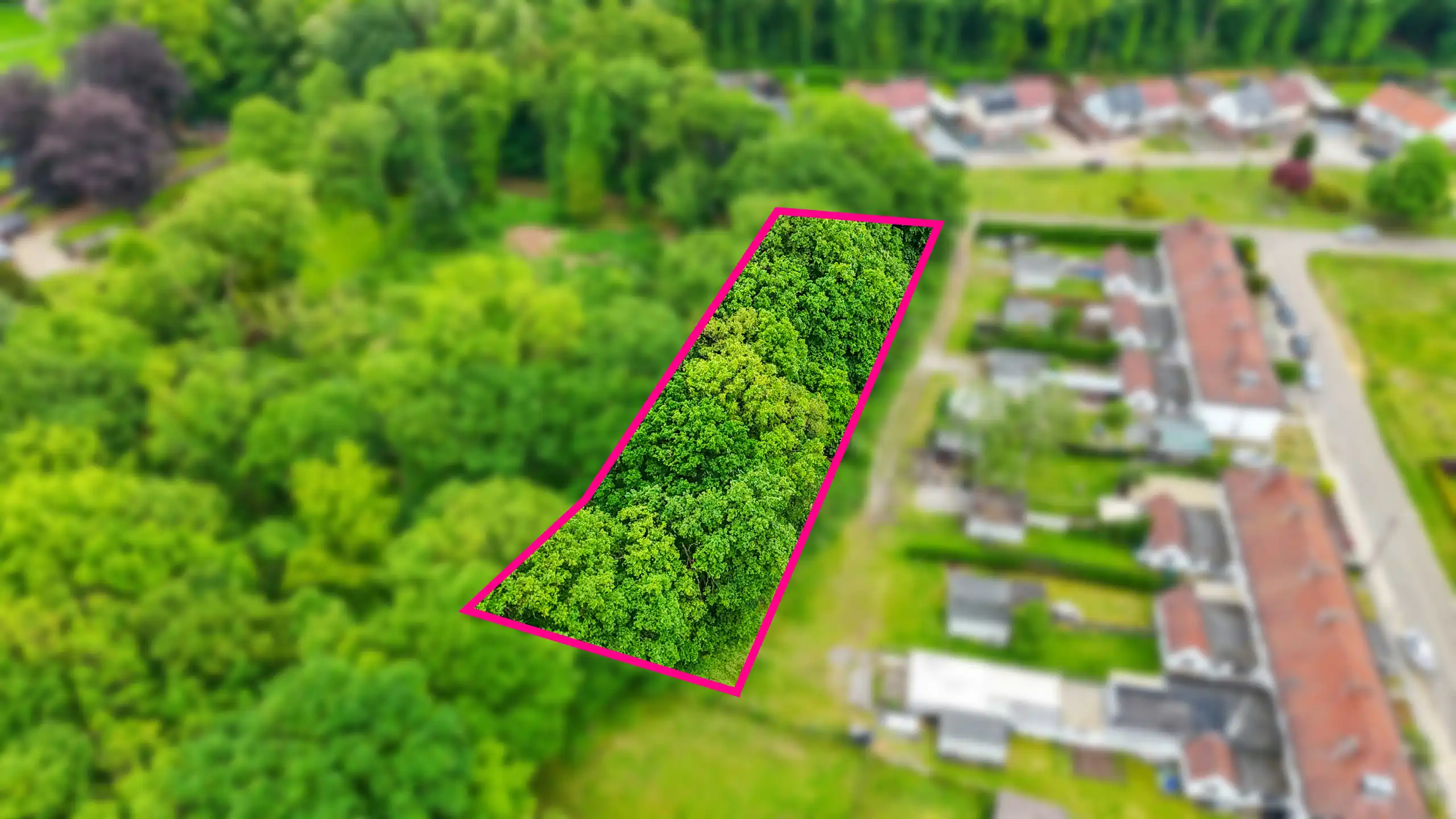 Mooi gelegen bosgrond op rustige locatie te Teggersgoed! foto 6