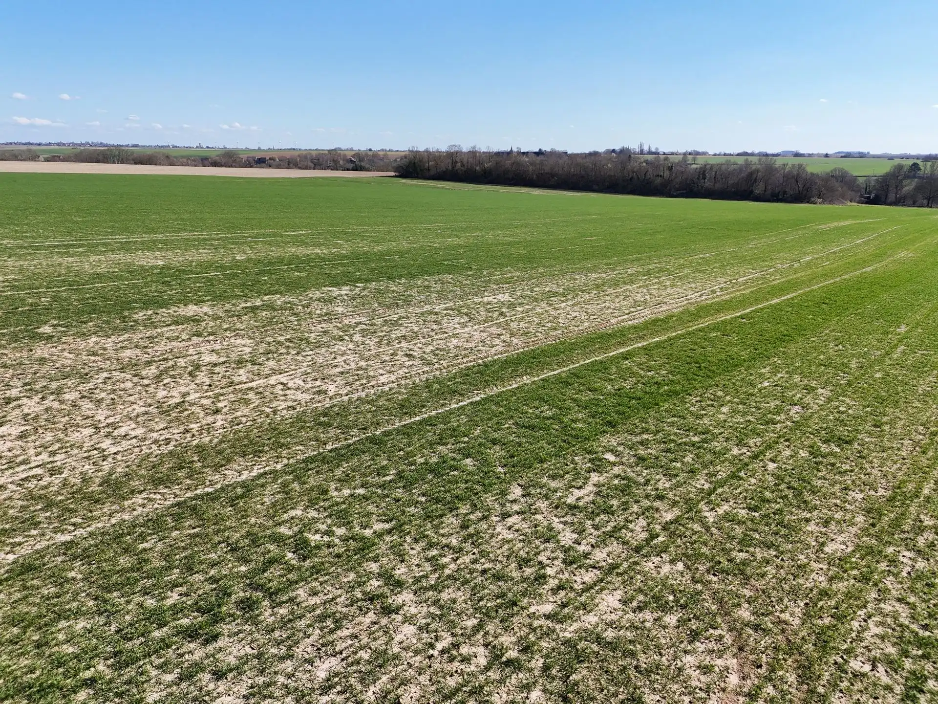 Groot perceel landbouwgrond - BLOK D foto 4