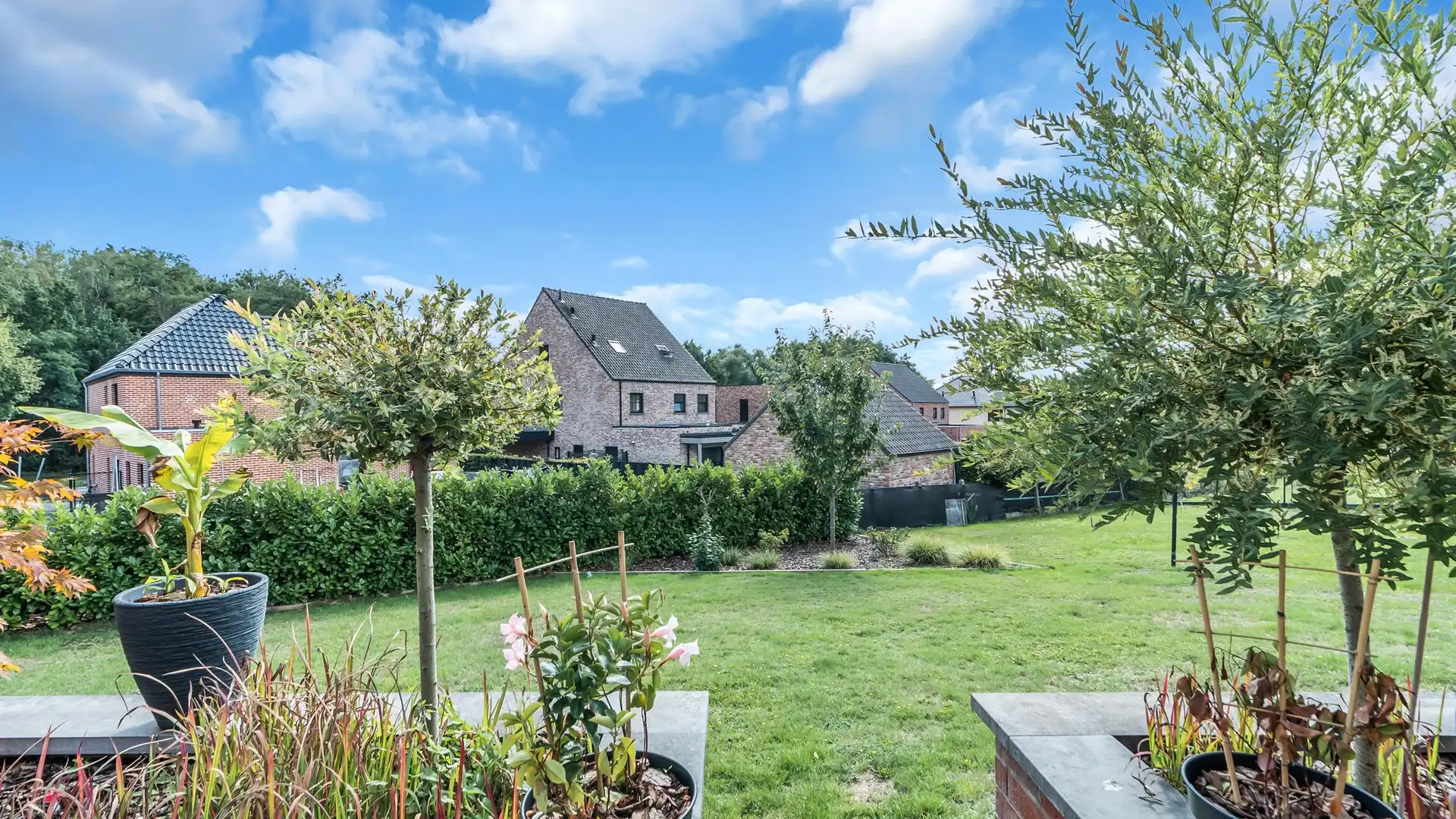 Rustig gelegen energiezuinige woning met 3 slaapkamers op een perceel van 6a foto 31