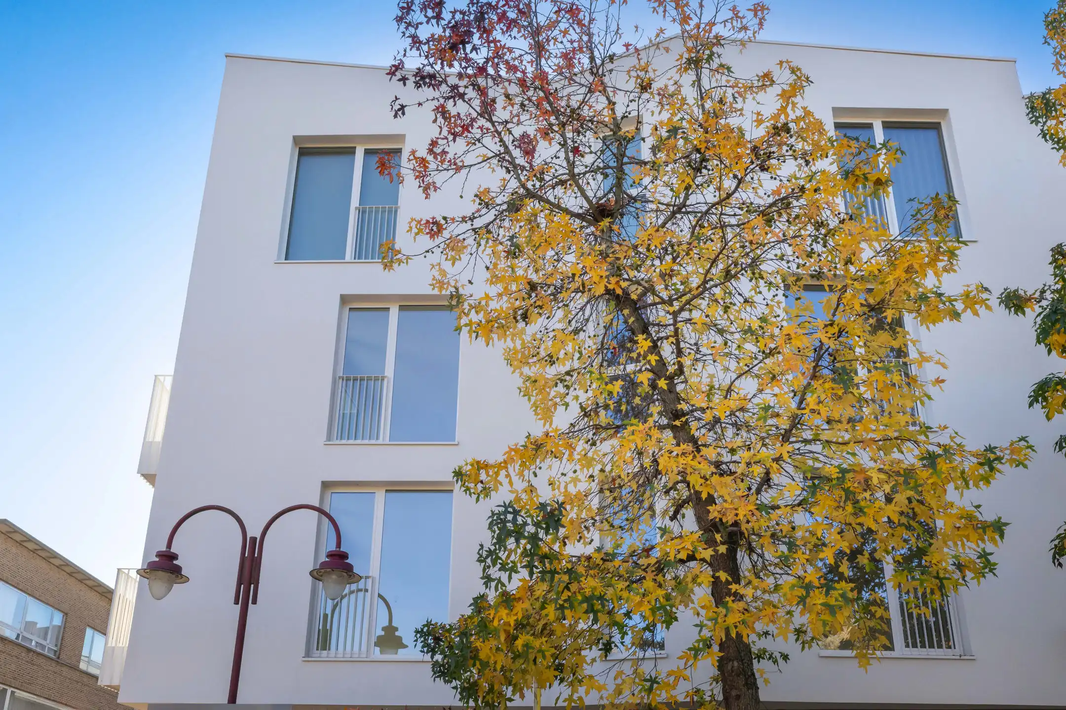 OPENDEURDAG OP AFSPRAAK ZATERDAG 21/02 VAN 10U TOT 13U foto 12